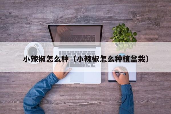 小辣椒怎么种(小辣椒怎么种植盆栽)