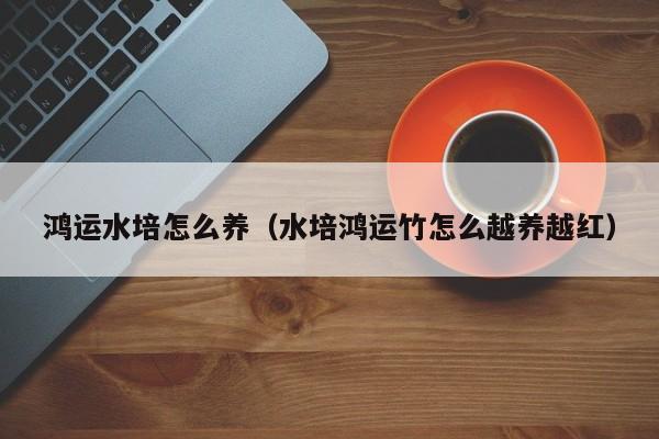 鸿运水培怎么养(水培鸿运竹怎么越养越红)