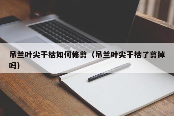 吊兰叶尖干枯如何修剪(吊兰叶尖干枯了剪掉吗)