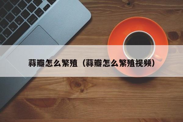 蒜瓣怎么繁殖(蒜瓣怎么繁殖视频)