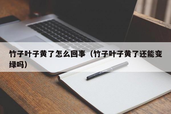 竹子叶子黄了怎么回事(竹子叶子黄了还能变绿吗)