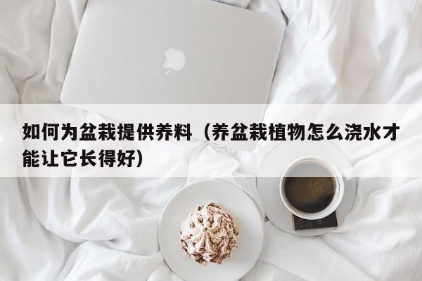 如何为盆栽提供养料(养盆栽植物怎么浇水才能让它长得好)