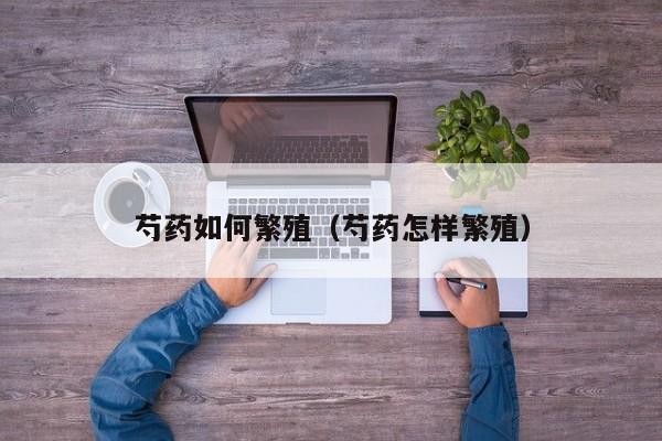 芍药如何繁殖(芍药怎样繁殖)