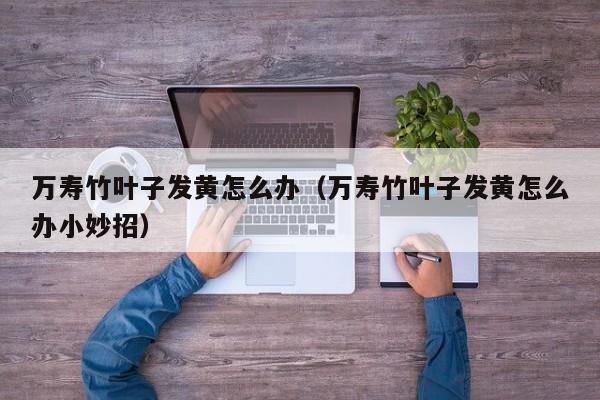 万寿竹叶子发黄怎么办(万寿竹叶子发黄怎么办小妙招)