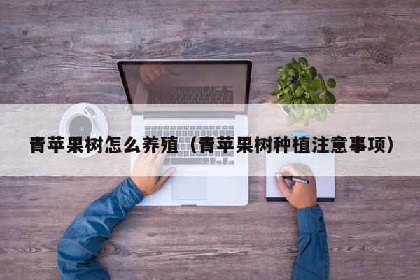 青苹果树怎么养殖(青苹果树种植注意事项)