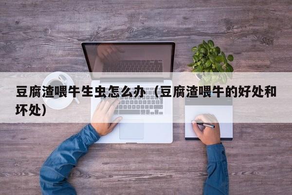 豆腐渣喂牛生虫怎么办(豆腐渣喂牛的好处和坏处)