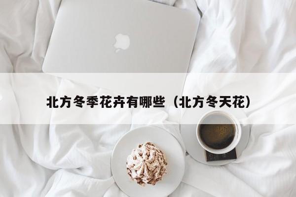 北方冬季花卉有哪些(北方冬天花)