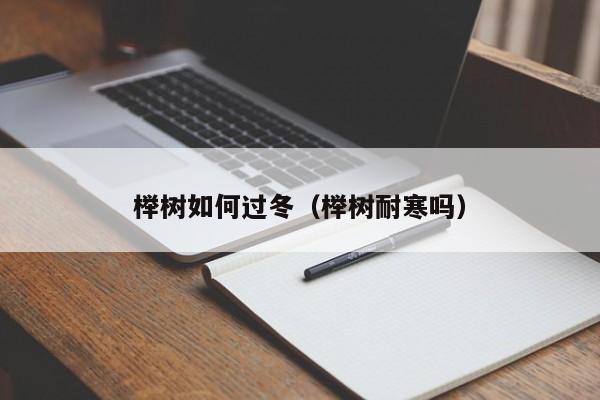 榉树如何过冬(榉树耐寒吗)