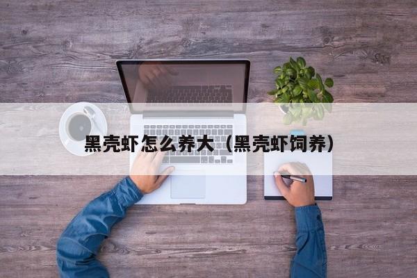 黑壳虾怎么养大(黑壳虾饲养)