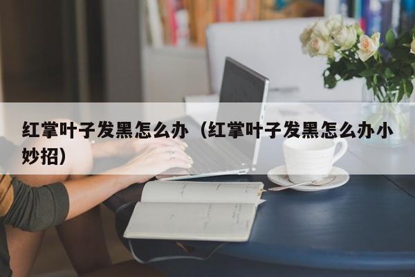 红掌叶子发黑怎么办(红掌叶子发黑怎么办小妙招)