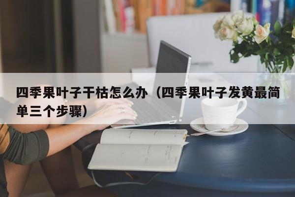 四季果叶子干枯怎么办(四季果叶子发黄最简单三个步骤)