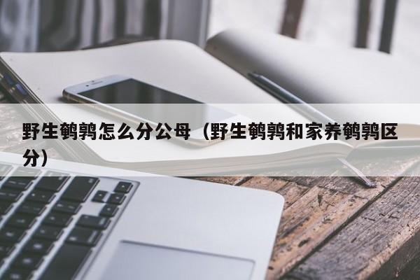 野生鹌鹑怎么分公母(野生鹌鹑和家养鹌鹑区分)