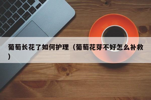 葡萄长花了如何护理(葡萄花芽不好怎么补救)