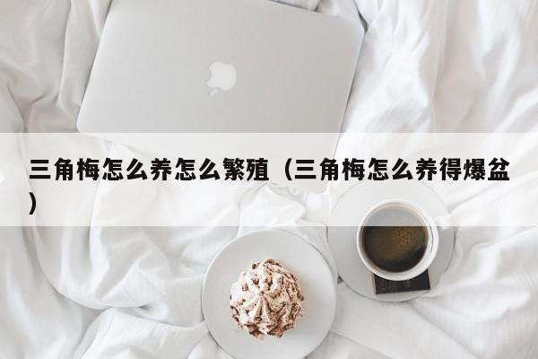 三角梅怎么养怎么繁殖(三角梅怎么养得爆盆)