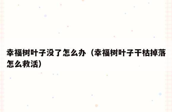 幸福树叶子没了怎么办(幸福树叶子干枯掉落怎么救活)