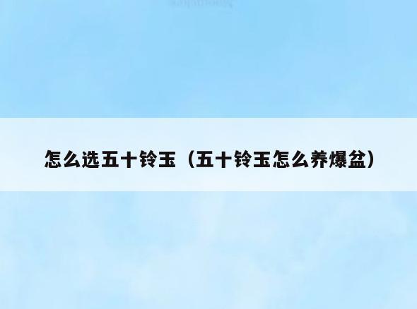 怎么选五十铃玉(五十铃玉怎么养爆盆)