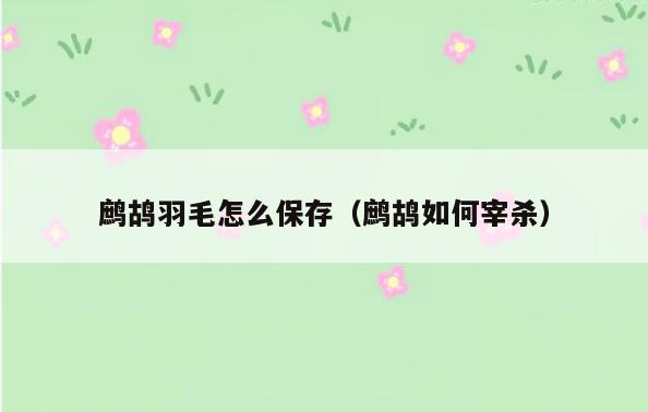 鹧鸪羽毛怎么保存(鹧鸪如何宰杀)