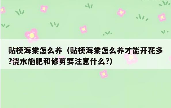 贴梗海棠怎么养(贴梗海棠怎么养才能开花多?浇水施肥和修剪要注意什么?)