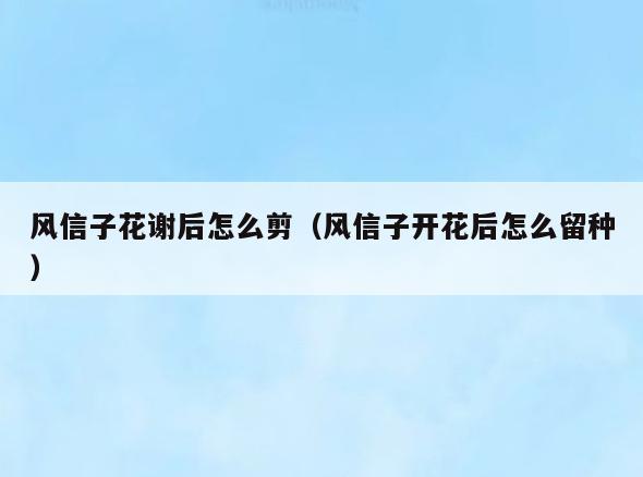 风信子花谢后怎么剪(风信子开花后怎么留种)