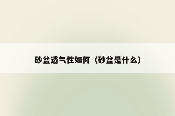 砂盆透气性如何(砂盆是什么)