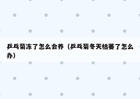 乒乓菊冻了怎么会养(乒乓菊冬天枯萎了怎么办)