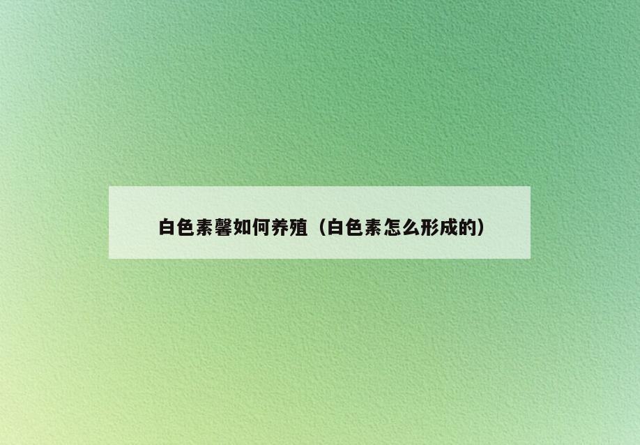 白色素馨如何养殖(白色素怎么形成的)