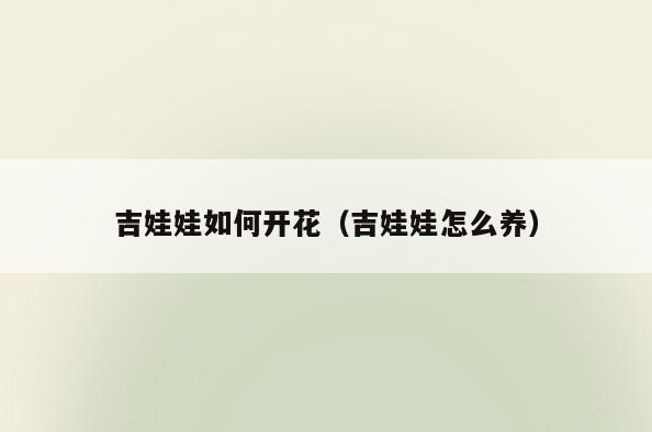 吉娃娃如何开花(吉娃娃怎么养)