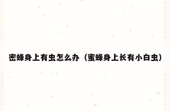 密蜂身上有虫怎么办(蜜蜂身上长有小白虫)