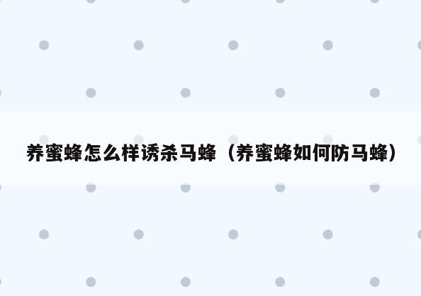 养蜜蜂怎么样诱杀马蜂(养蜜蜂如何防马蜂)
