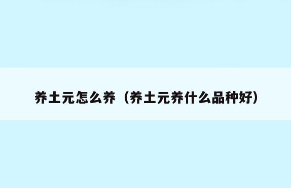 养土元怎么养(养土元养什么品种好)