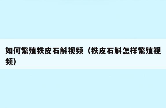 如何繁殖铁皮石斛视频(铁皮石斛怎样繁殖视频)