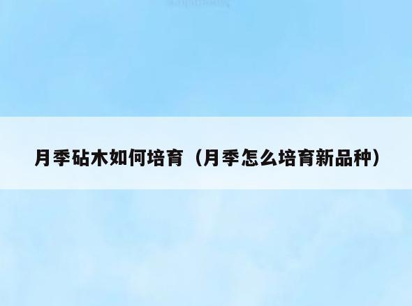 月季砧木如何培育(月季怎么培育新品种)