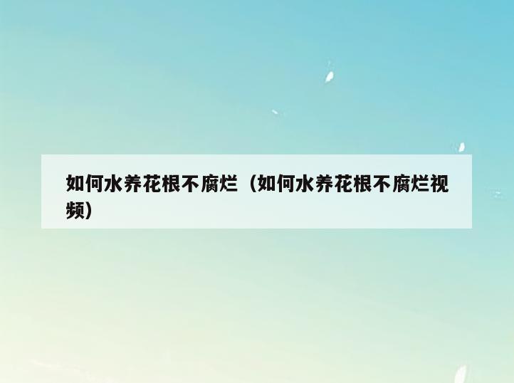 如何水养花根不腐烂(如何水养花根不腐烂视频)