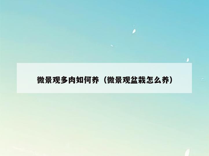 微景观多肉如何养(微景观盆栽怎么养)