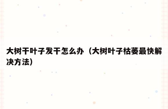 大树干叶子发干怎么办(大树叶子枯萎最快解决方法)