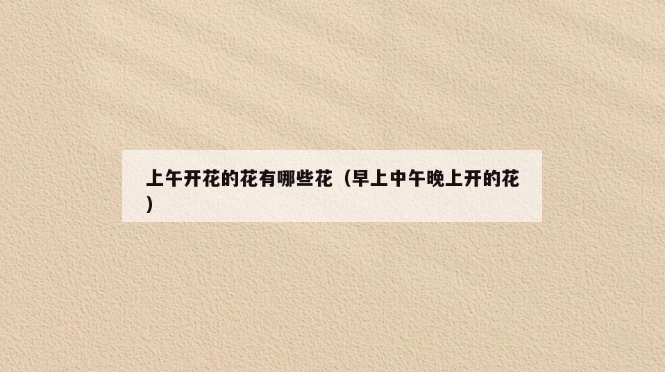 上午开花的花有哪些花(早上中午晚上开的花)