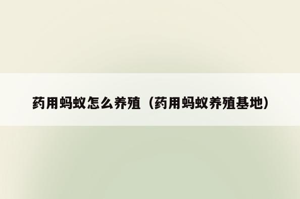 药用蚂蚁怎么养殖(药用蚂蚁养殖基地)