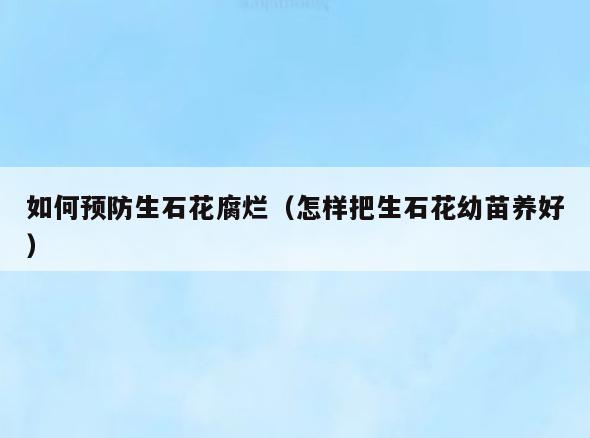 如何预防生石花腐烂(怎样把生石花幼苗养好)