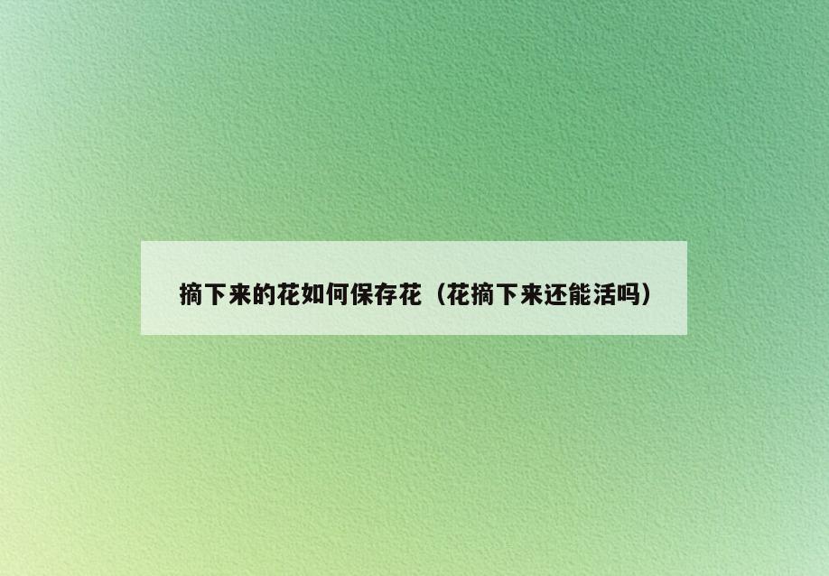 摘下来的花如何保存花(花摘下来还能活吗)
