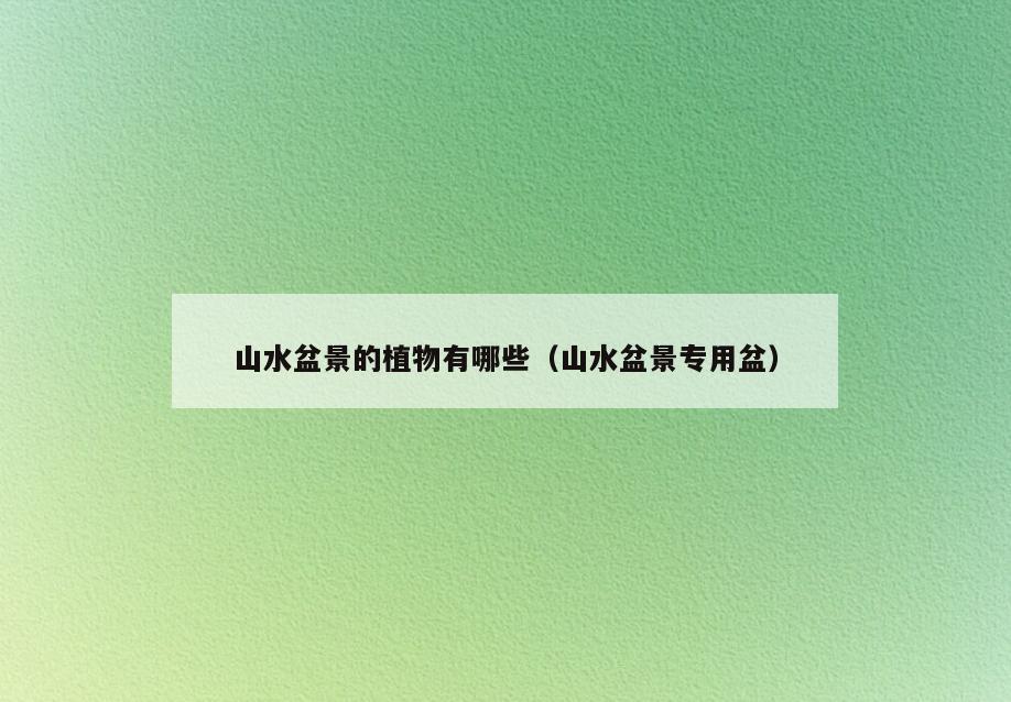 山水盆景的植物有哪些(山水盆景专用盆)
