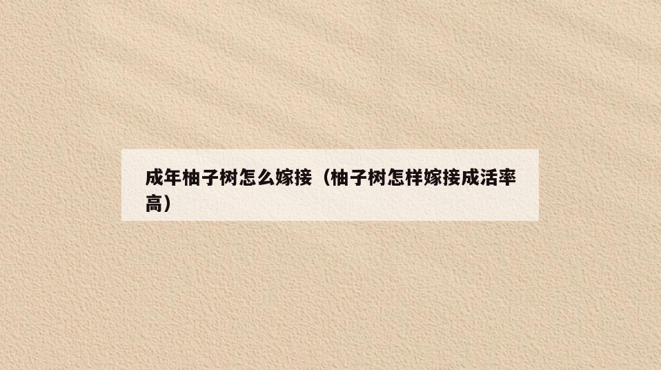 成年柚子树怎么嫁接(柚子树怎样嫁接成活率高)