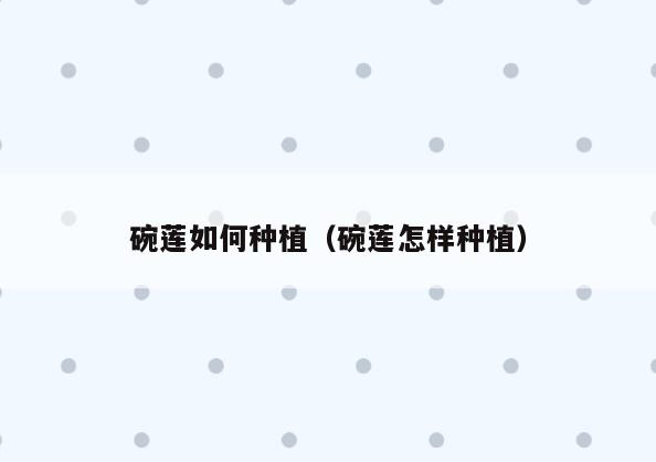 碗莲如何种植(碗莲怎样种植)