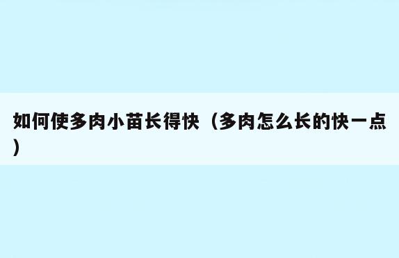 如何使多肉小苗长得快(多肉怎么长的快一点)