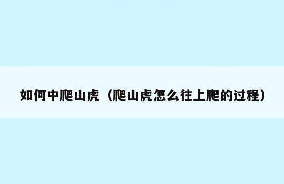 如何中爬山虎(爬山虎怎么往上爬的过程)