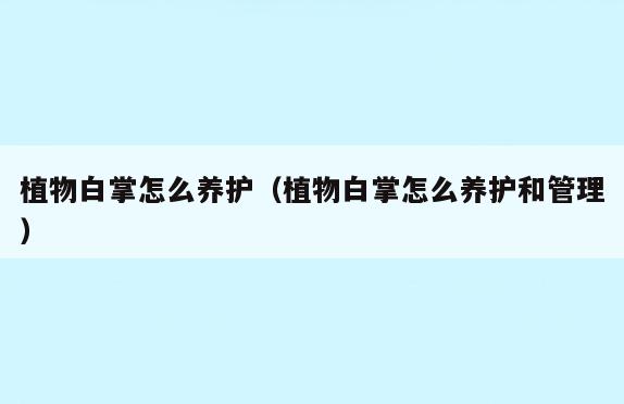 植物白掌怎么养护(植物白掌怎么养护和管理)