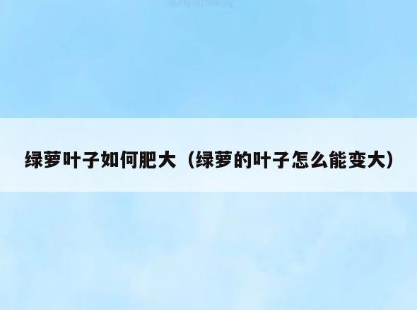 绿萝叶子如何肥大(绿萝的叶子怎么能变大)