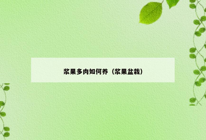 浆果多肉如何养(浆果盆栽)