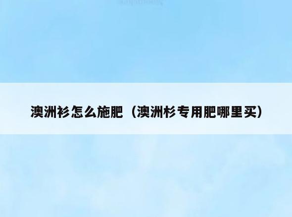 澳洲衫怎么施肥(澳洲杉专用肥哪里买)