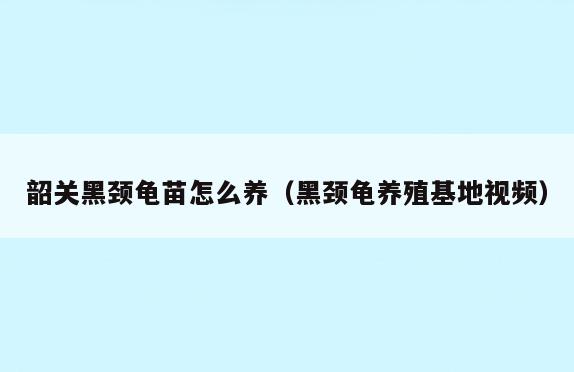 韶关黑颈龟苗怎么养(黑颈龟养殖基地视频)