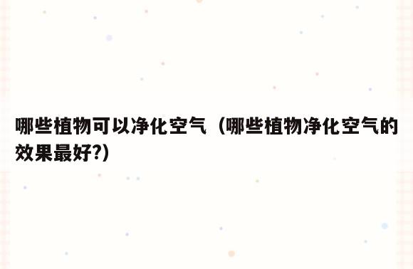 哪些植物可以净化空气(哪些植物净化空气的效果最好?)